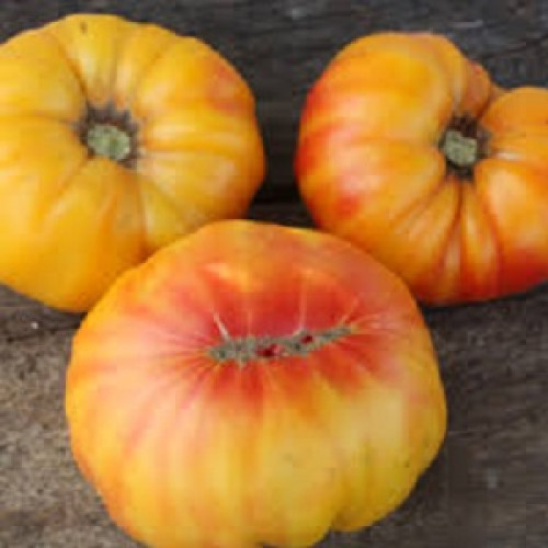 Мамонт Немецкий Золотой (Mammoth German Gold Tomato)